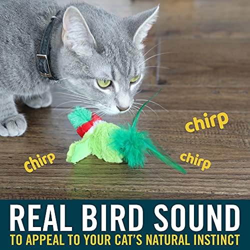 חיות מחמד שלנו לשחק - נ-חריקה אמיתי ציפורים חתול צעצועים [אינטראקטיבי חתול צעצועי מקורה חתולים עם קטניפ]